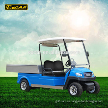 AC Motor 2 plazas eléctrico carro de golf eléctrico vehículo utilitario club club carrito de golf